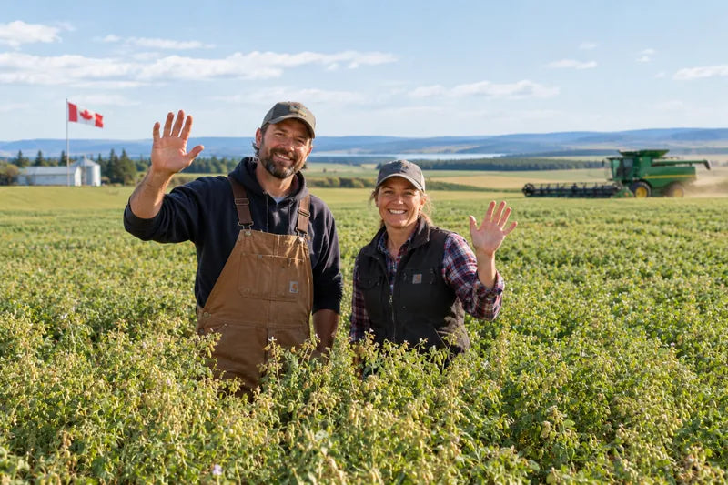 Jon and Erika, lentil growers in Canada, in the field